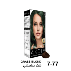 Akoia Hair Coloring -7.77 GRASS BLOND-eliadiva jordan